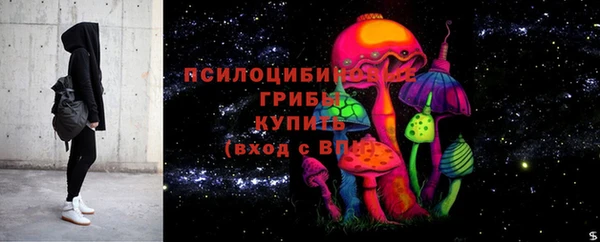 прущий лед Белокуриха