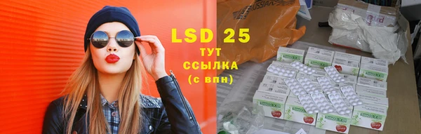 стафф Новокубанск