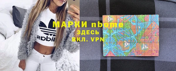 стафф Новокубанск