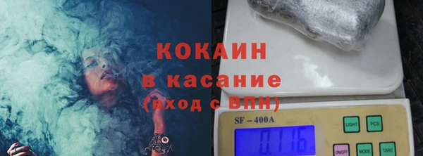 прущие крисы Новозыбков