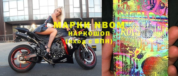 СК Новодвинск