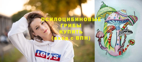 СК Новодвинск