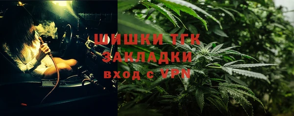 прущие крисы Новозыбков