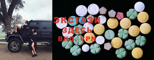 СК Новодвинск
