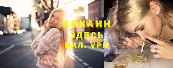 прущие крисы Новозыбков
