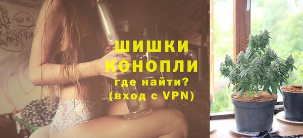 СК Новодвинск