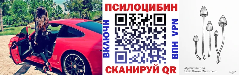 Псилоцибиновые грибы Magic Shrooms где купить наркоту Владимир