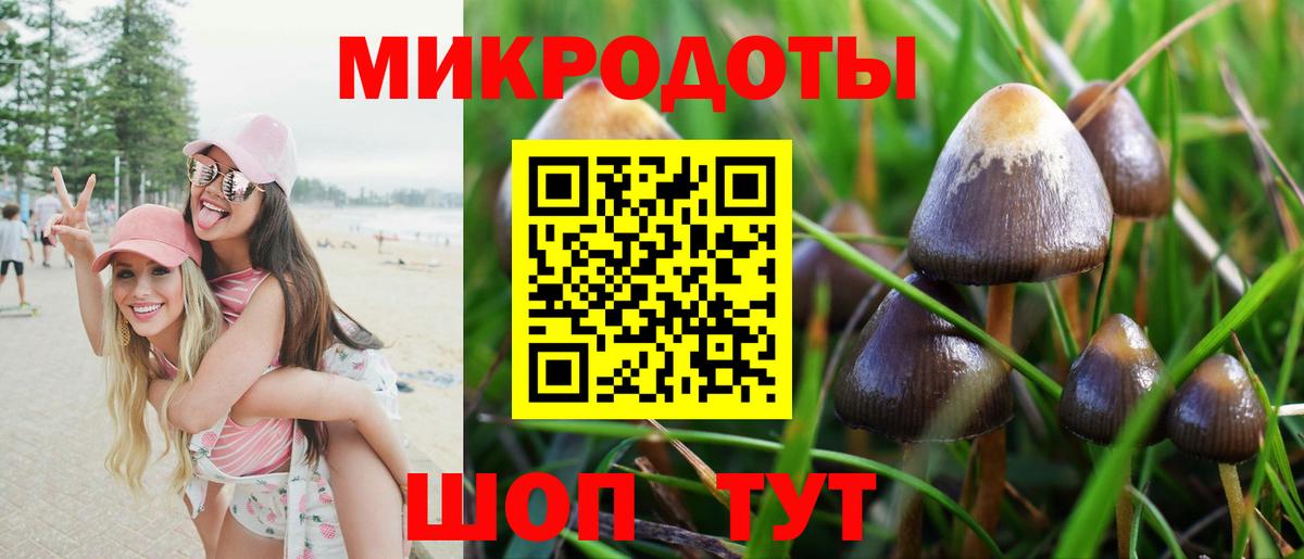 Псилоцибиновые грибы Magic Shrooms Владимир