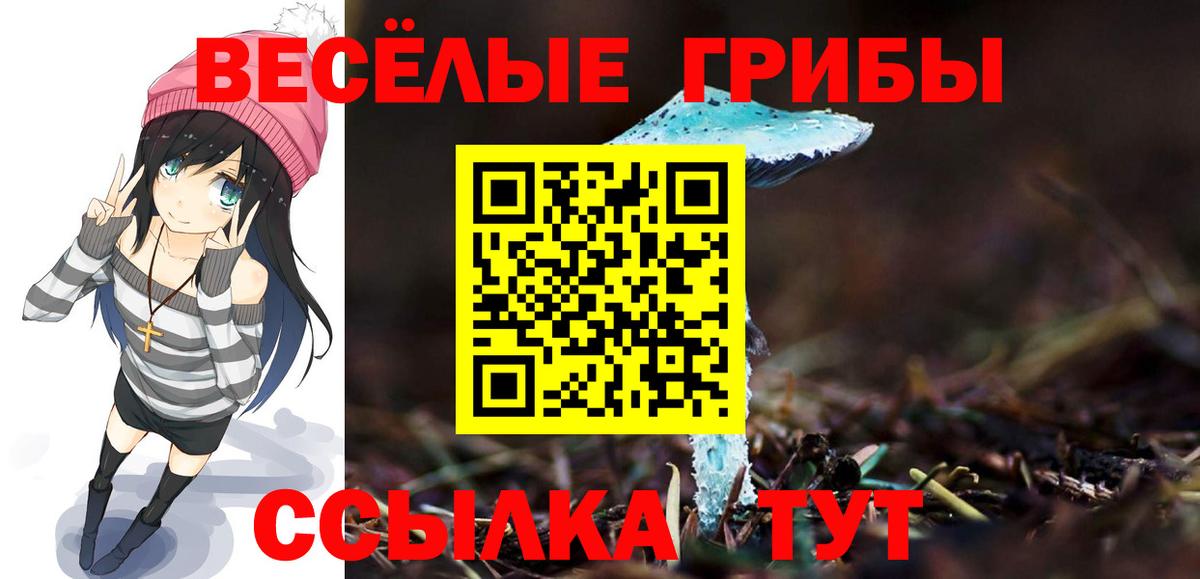 Псилоцибиновые грибы мицелий  Галлюциногенные грибы Psilocybine cubensis  Вход с VPN  Владимир 